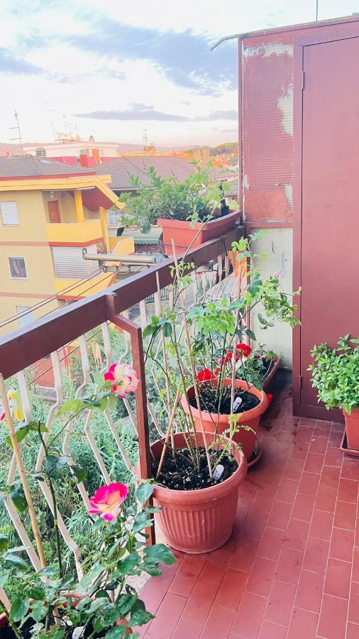 Oasi Di Serenita Marino Kültér fotó