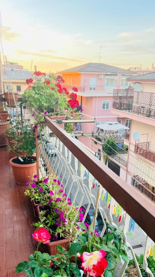 Oasi Di Serenita Marino Kültér fotó