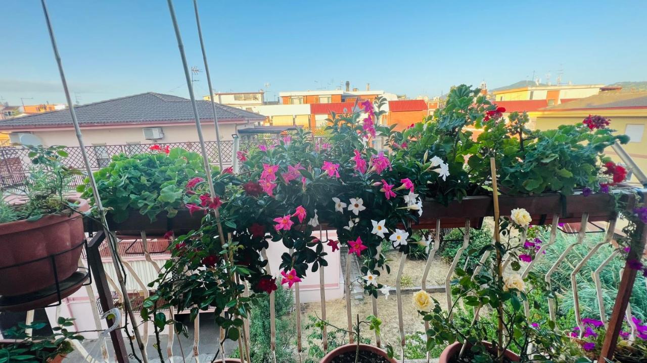 Oasi Di Serenita Marino Kültér fotó